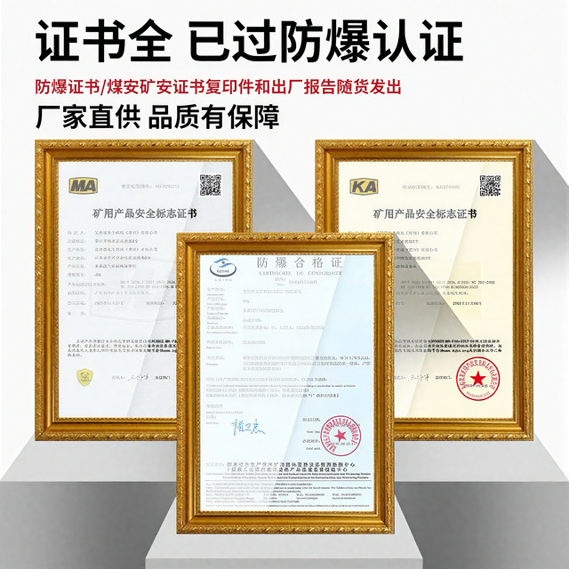 Mining Gas Detector Cd3 Four-In-One Portable Cd4 Nitrogen Dioxide Carbon Dioxide Detection Alarm