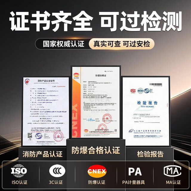 Combustible Gas Alarm Independent Oxygen Ozone Ammonia Carbon Monoxide Hydrogen Sulfide Concentration Detector