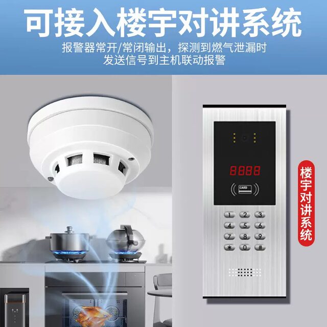Gas Alarm Wired Networked Home Kitchen Natural Gas Detector Ceiling Gas Probe Alarm