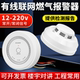 Gas Alarm Wired Networked Home Kitchen Natural Gas Detector Ceiling Gas Probe Alarm