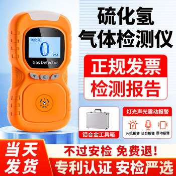 Hydrogen Sulfide Gas Detector Handheld Portable Alarm Limited Space Toxic and Harmful Concentration Detector