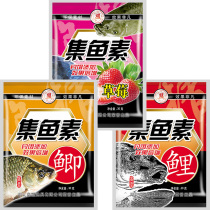Crucian carp carp fish collection element Strawberry grass carp Silver carp bighead bait flavor Silver carp flower carp big fat head fish additive