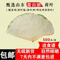 2021 new whole sheet of selected lotus leaf tea slices dried lotus leaves 500g called flower chicken glutinous rice chicken dumplings leaf dumplings for exclusive use