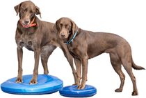 American FitPAWS Balance Disc dog dog pet Balance plate flying saucer fitness rehabilitation exercise