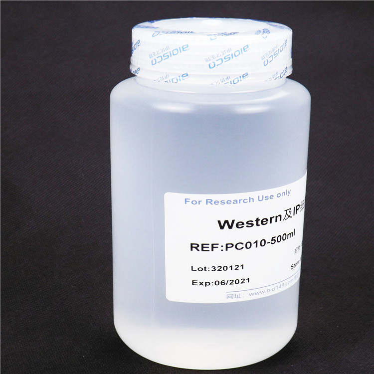试剂盒-蛋白提取 Western及IP细胞裂解液 100ml 500ml国产科研专