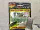 A97 Pink Green Dragonfly Larvae 8