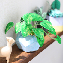 Childrens puzzle DIY stereo manual production of green rot pot simulation plant assembly 3D paper model toy