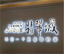 Mini Luminous Character Boutique Stainless Steel Back Luminous Character Billboard Makes led Outdoor Titanium Letter Door Head Suspension