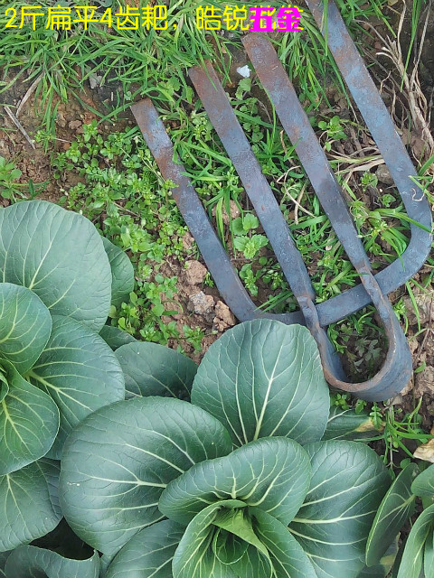 Flat 4-tooth Rake Construction rebar Agricultural long-handled hoe rake Four-tooth rake Garden gardening tools