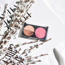 Simulation Green Planting Fake Flowers Greeting Spring Plum China Wind Photo Photography Props Background Home Decoration Pendulum Piece Vase Flower Insert