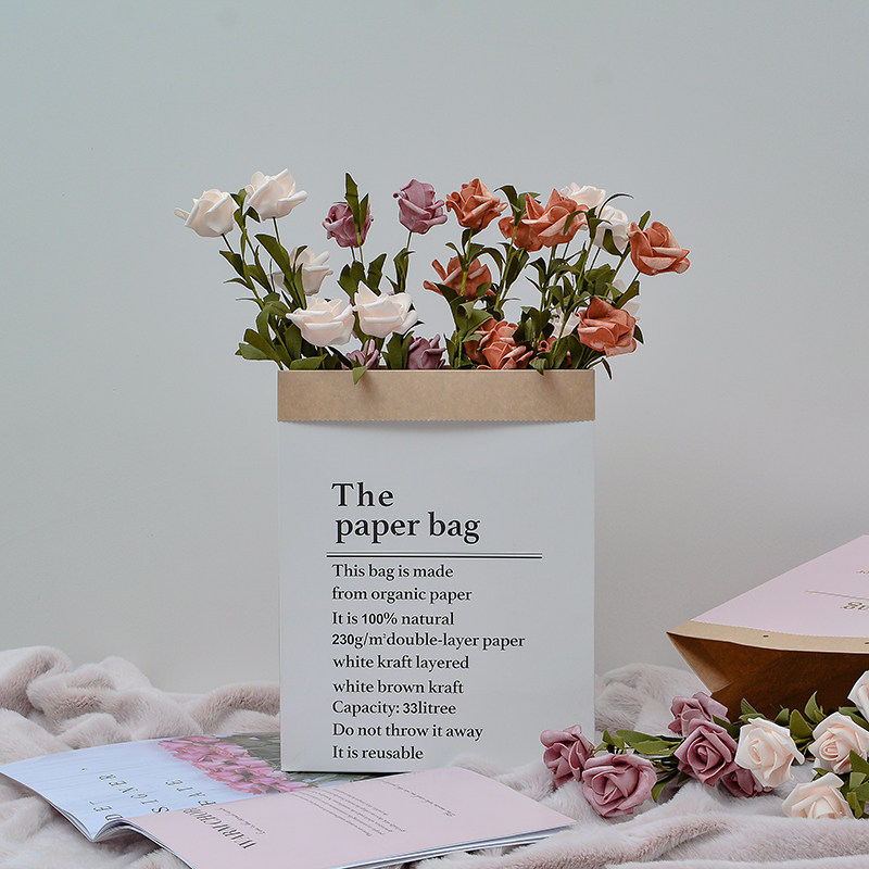 ins style boutique holding bag shooting props