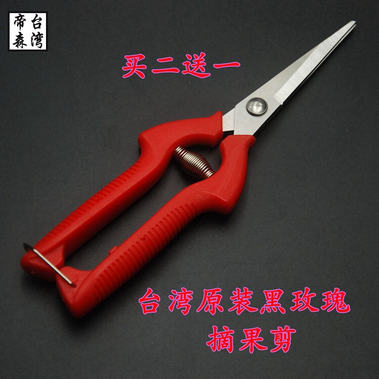 Buy three delivery of two grape prunes with prunes of fruits and vegetables to cut fruits and vegetables to cut fruits and vegetables.