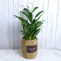 Extra large flowerpot flower basket green pot creative Weaving rattan weaving basket Nordic Straw flower pot bamboo weaving