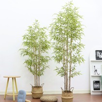 Simulated plant bamboo potted indoor floor decoration rich bamboo bonsai partition screen window landscaping fake bamboo