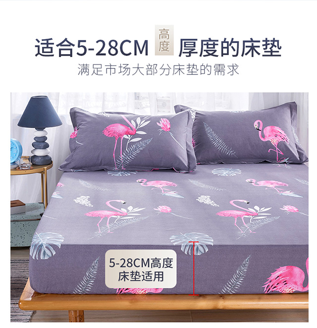Bông chống thấm giường một miếng bông cách nhiệt bọc giường Simmons nệm trải giường phủ bụi 1,8m mét - Trang bị Covers Ga phủ giường