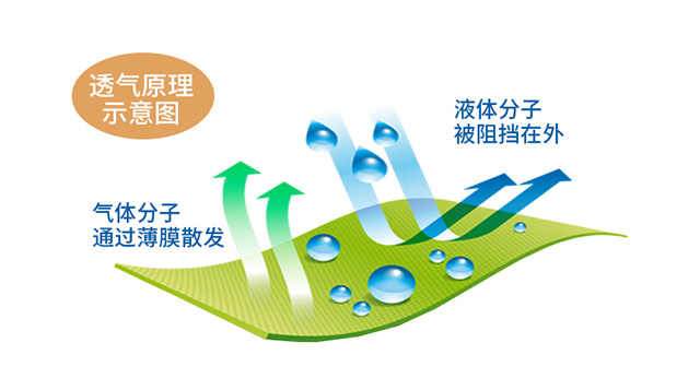 Bông chống thấm giường một miếng bông cách nhiệt bọc giường Simmons nệm trải giường phủ bụi 1,8m mét - Trang bị Covers Ga phủ giường