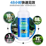 Sensen Fish Tank аквариум динамический нитрифицирующий бактерии качество воды стабильная очистка воды пищеварительная бактериальная ферма рыбы