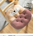 Phim hoạt hình ghế đệm bàn ăn ghế đệm đệm sofa dày dày thoáng khí không mệt mỏi trường học trẻ em đệm nhỏ mẫu đệm ghế đẹp Ghế đệm / đệm Sofa