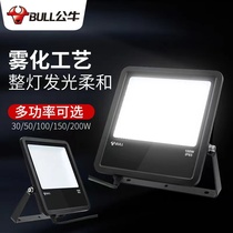 Bull outdoor LED lighting waterproof lamp probe lighting super-light outdoor advertising lamp floodlight
