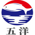 五洋显卡厂家