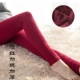 Quần legging cotton dệt kim cộng với nhung dày của phụ nữ mùa thu đông mặc quần cotton ấm là quần lửng