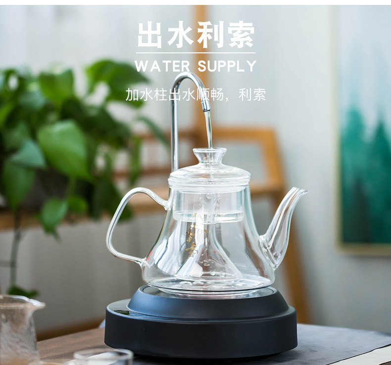 Automatic pumping TaoLu boiled tea machine home small heat resistant high temperature steam mercifully tea pot boil water electric tea stove.mute