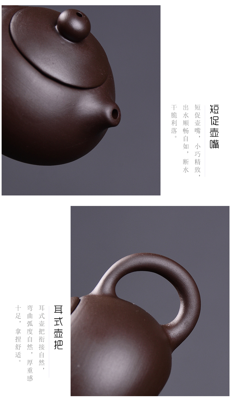 Yixing tea pot of tea pet mini ceramic tea pot - fingertips to play pocket for its ehrs little teapot kung fu tea accessories furnishing articles