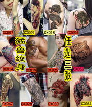 Choose three pieces of waterproof spin-body stickers