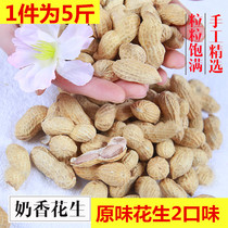 5 Jin Shandong farmhouse fried peanuts wedding banquet with Shell red peanuts cooked cream marinated peanuts