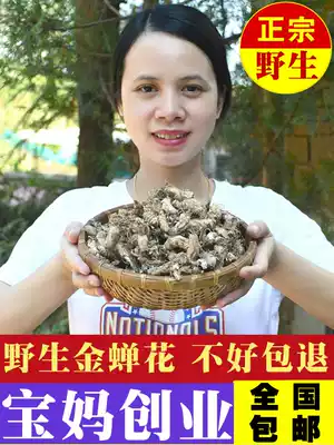 2021 new authentic Guangdong Peace farm bamboo forest wild cicada flower can soak wine cicada pupa grass 250g soup