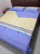 Longxiang dream home textile four-piece cotton bedding Net red ins quilt cover sheets cotton 1 8 bed quilt cover