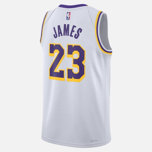 Летний мужской дышащий быстросохнущий трикотаж Nike Los Angeles Lakers NIKE DRI-FIT NBA DN2081