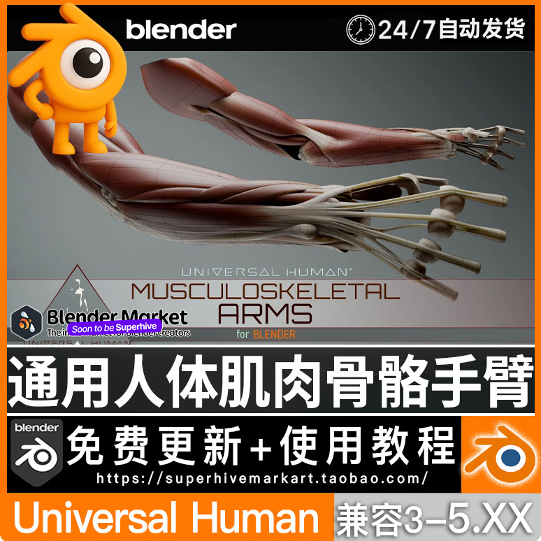 Blender Universal Human Model for Binding Arm Muscles and Hands Musculoskeletal Arms