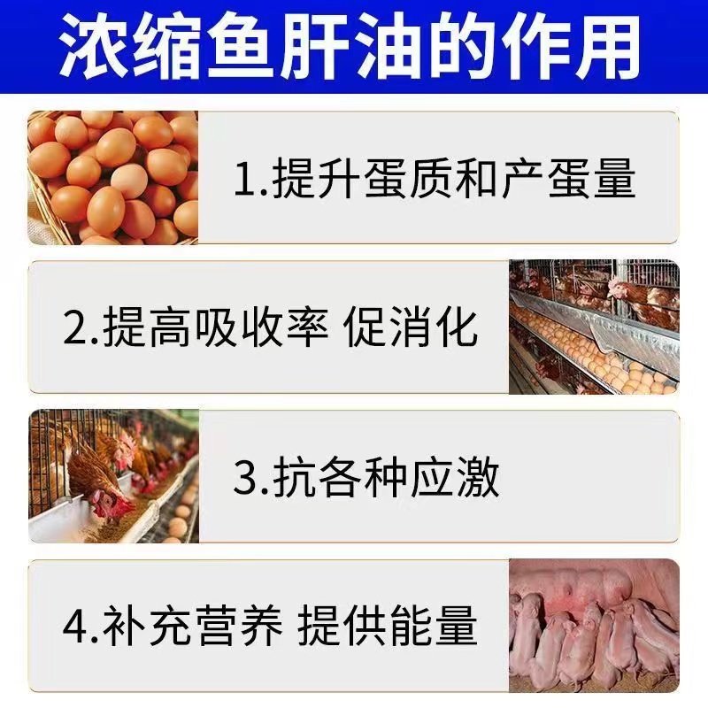 宠物和家禽的超级营养师！兽用鱼肝油and多维饲料添加剂，真的那么神？ 淘宝好物网 