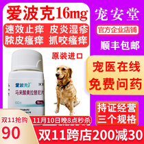 Pfizer love Poker itching 16mg5 4mg3 6mg dog pet skin itching pyoderma fungal bacterial medicine