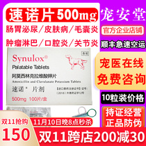 Sono tablet dog 500mg dermatitis abscess hair follicle cough urinary amoxicillin clavulanic acid Pfizer large dog