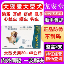 Big pet large dog Golden Retriever Labrador deworming dog deworming selamectin solution medicine 20 kg in vitro and in vivo