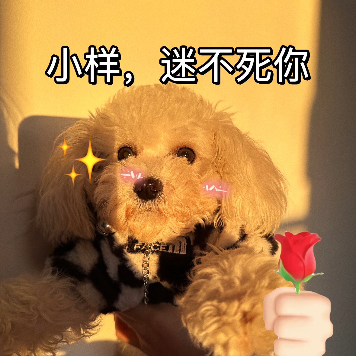 林十八自制
