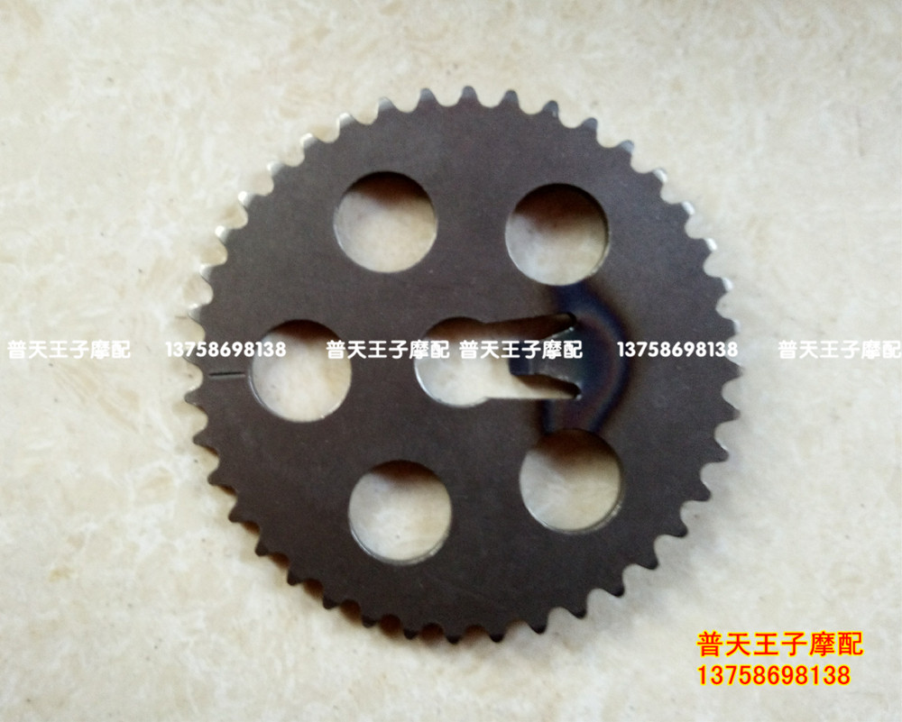 Suitable for QJ250-L-J-H XV250 125 camshaft timing sprocket Timing sprocket