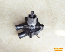 Benali Lanbaolong BJ300GS BN300 Hurricane 302 300-C water pump assembly old pump