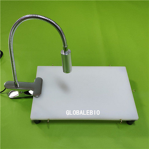 Rat Anatomy Bench Mouse Anatomy Bench Experiment Small Animal Anatomy Bench large Mouse Surgical Table Lamp-Taobao