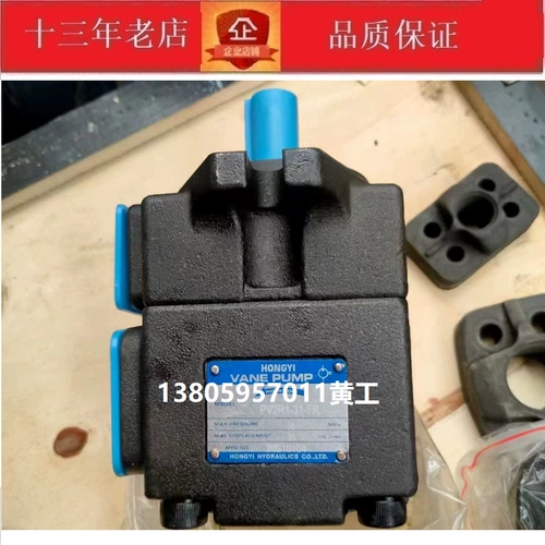 Hongyi Leaf Pump Pv2r12-33/04 06 08 10 12 14 17 19 23 25 28