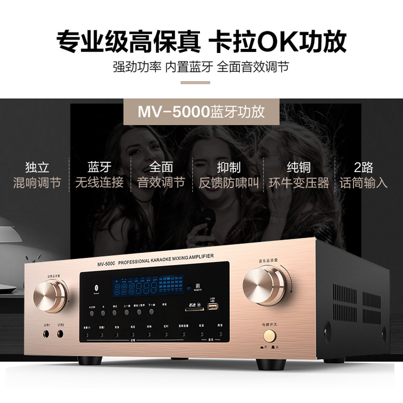 Taiwan 110V home amplifier amplifier karaoke fever-grade professional KTV stage digital bluetooth amplifier