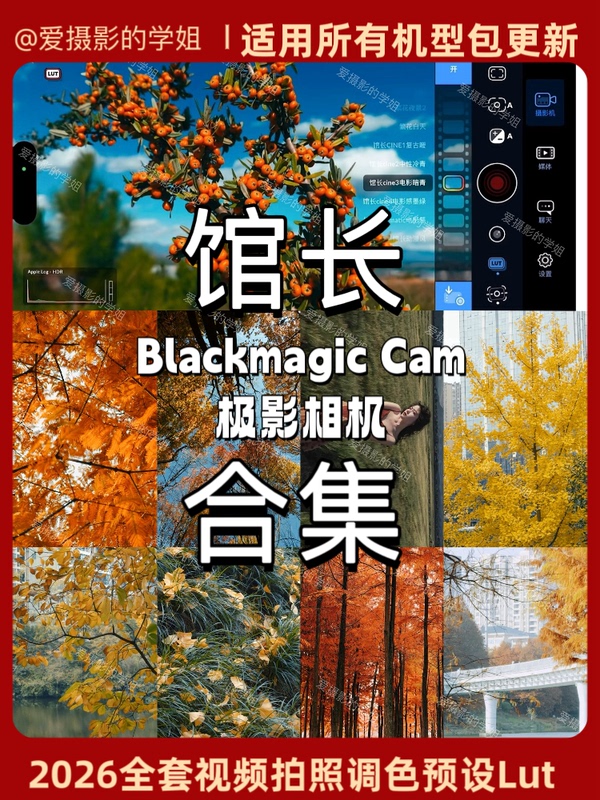 Director Lin's Latest 2026 Complete Set of All Filter Color Grading Presets Lut Collection (Including Updates) Includes a Total of 13 Sets Director Lin's Latest 2026 Complete Set of All Filter Color Grading Presets Lut Collection (Including Updates) Includes a Total of 13 Sets