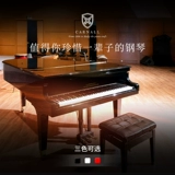 Канал/Карналл Пегас серии автомобилей Car Triangle High -End Hotel Pianist Automatic Performance