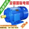 Three-phase asynchronous motor YE2 series new copper core national standard Y200L-2-4 pole 30KW KW motor 380v