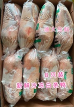 Fresh frozen Guiliu white duck each 3 6 pounds * 8 Guiliu duck large duck raw duck roast duck salted duck
