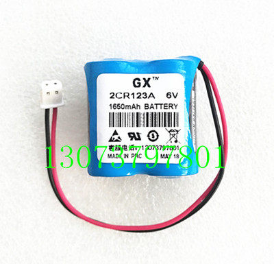 Pioneer Gas Meter 6V Lithium Battery 2CR123A