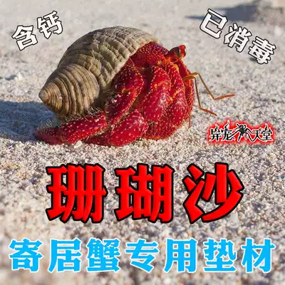 Coral sand Natural hermit crab breeding mat material moisturizing special Philippine shell white sand climbing pet sandfish tank bottom sand