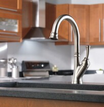 DELTA deer da Deya imported kitchen faucet Savile series brushed with touch